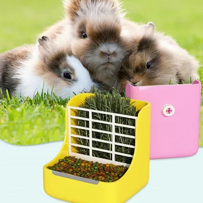 ZooVenture Mangeoire 2 En 1 À Foin Pour Chinchilla Et Cochon D'Inde