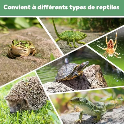 ZooVenture Dispensador de agua portátil de plástico para reptiles tortugas