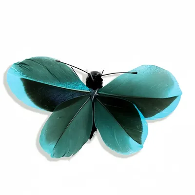 FurryFusion Lot de 4 têtes de rechange pour jouets pour chat