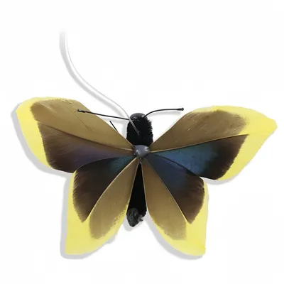 FurryFusion Lot de 4 têtes de rechange pour jouets pour chat