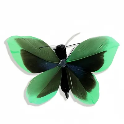 FurryFusion Lot de 4 têtes de rechange pour jouets pour chat