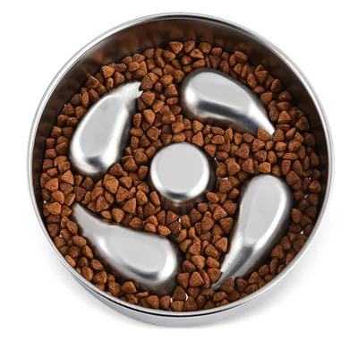 Pet Planet Gamelle anti glouton pour chien et chat
