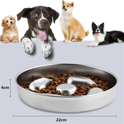 Pet Planet Gamelle anti glouton pour chien et chat
