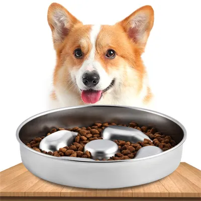 Pet Planet Gamelle anti glouton pour chien et chat