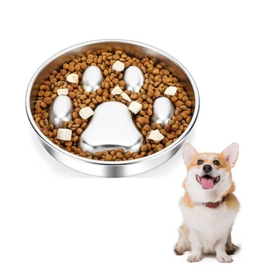 Pet Planet Gamelle anti glouton pour chien