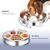 Pet Planet Gamelle anti glouton pour chien