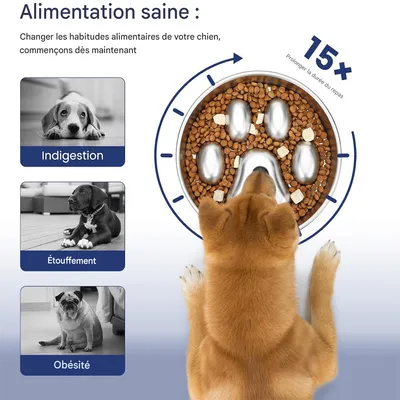 Pet Planet Gamelle anti glouton pour chien