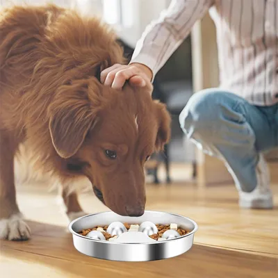 Pet Planet Comedero para perros de alimentación lenta