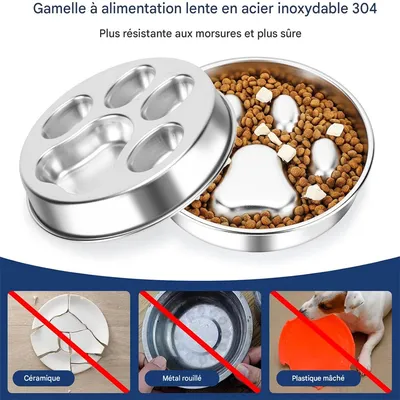 Pet Planet Gamelle anti glouton pour chien