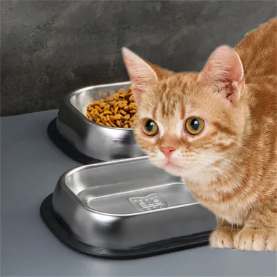 IntiMeg Gamelle carrée en acier inoxydable pour chien