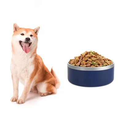 UAMLY Gamelle pour chien en acier inoxydable