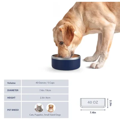 UAMLY Gamelle pour chien en acier inoxydable