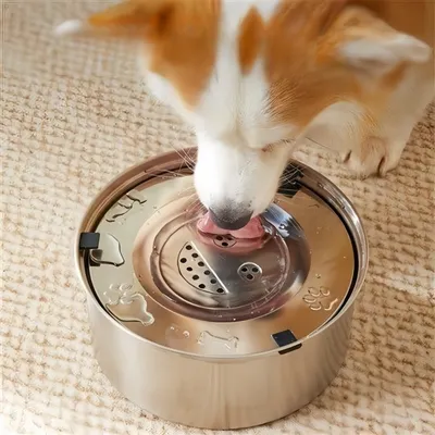 IntiMeg cuenco de agua para perros de acero inoxidable 304