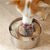 IntiMeg Gamelle d'eau en acier inoxydable 304 pour chien