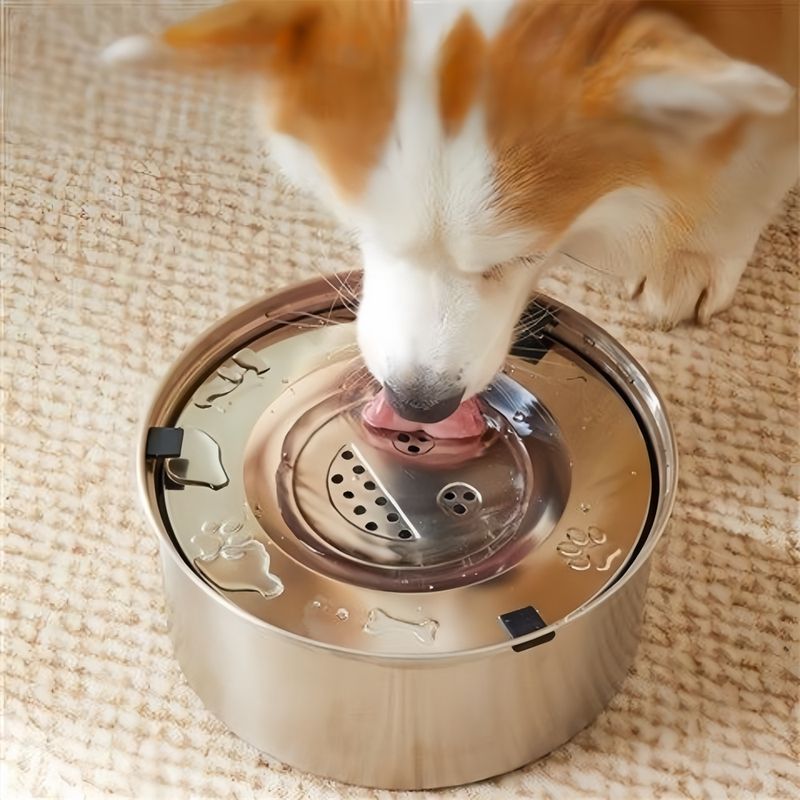 IntiMeg Gamelle d'eau en acier inoxydable 304 pour chien