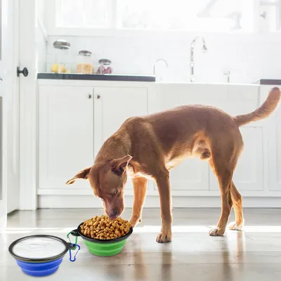 UAMLY Gamelles pliables pour chien