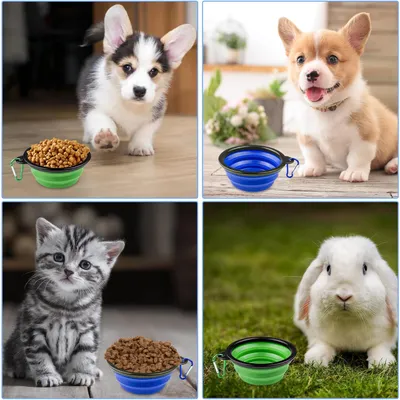 UAMLY Gamelles pliables pour chien