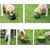 UAMLY Gamelle pliable pour nourriture et eau pour chien
