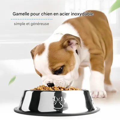 IntiMeg Gamelle en acier inoxydable pour chien et chat