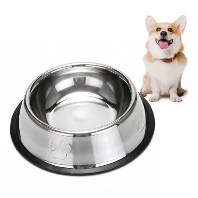 IntiMeg Gamelle en acier inoxydable pour chien et chat