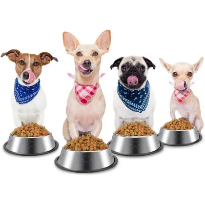 IntiMeg Gamelle en acier inoxydable pour chien et chat