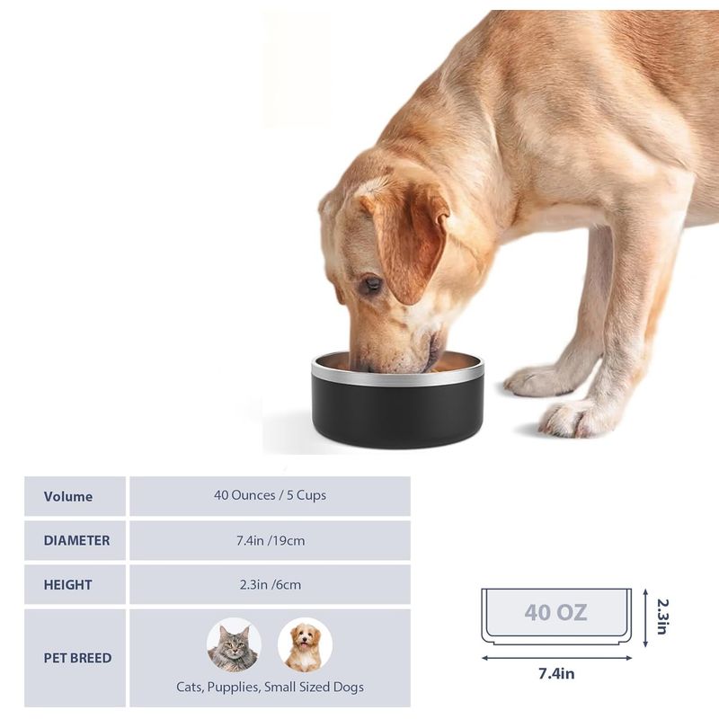 UAMLY Gamelle pour chien en acier inoxydable