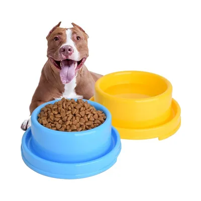 ZenPets Cuencos redondos de plástico para perros y gatos