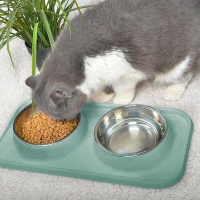 UAMLY Comedero a prueba de fugas para gatos y perros