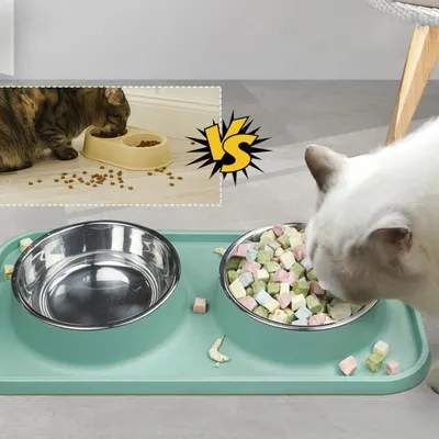 UAMLY Gamelle anti-fuite pour chat et chien