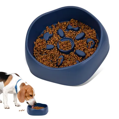 Pet Planet Tazón anti-deglución y anti-derrames