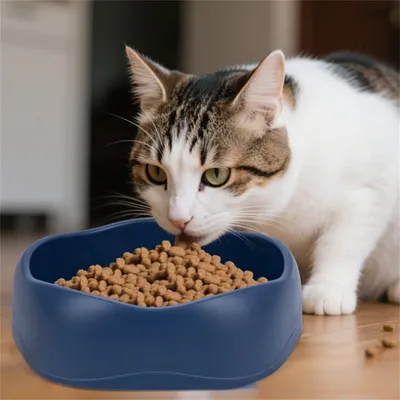 Pet Planet Gamelle anti glouton et anti renversement