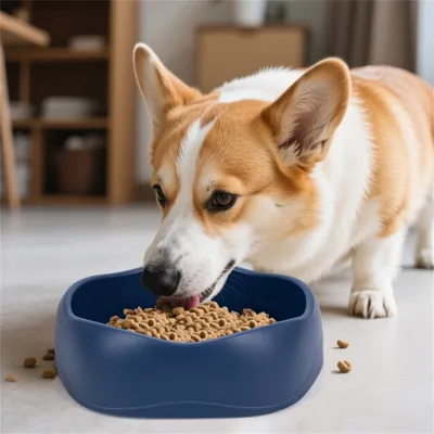 Pet Planet Gamelle anti glouton et anti renversement