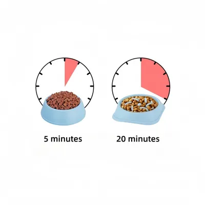 ZenPets Comedero para perros de alimentación lenta