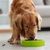 Pet Planet Gamelle anti-déversement en couleur