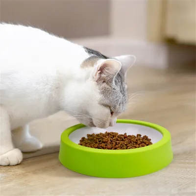 Pet Planet Gamelle anti-déversement en couleur