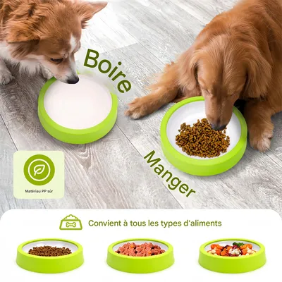 Pet Planet Gamelle anti-déversement en couleur