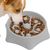 UAMLY Gamelle anti-étouffement pour chien Slow Food