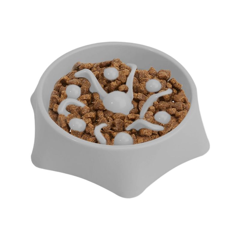UAMLY Gamelle anti-étouffement pour chien Slow Food