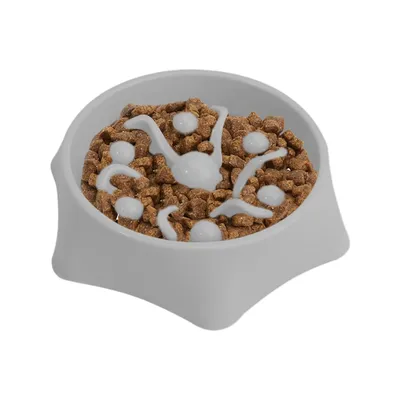UAMLY Gamelle anti-étouffement pour chien Slow Food