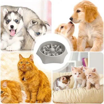 UAMLY Comedero para perros Slow Food con sistema antiahogo