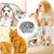 UAMLY Gamelle anti-étouffement pour chien Slow Food