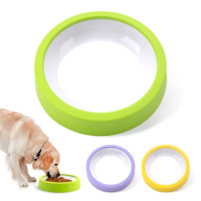 Pet Planet Tazón de colores a prueba de derrames