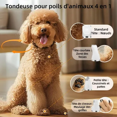Pet Planet 4 En 1 Tondeuse Pour Chien Et Chat