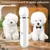 Pet Planet 4 En 1 Tondeuse Pour Chien Et Chat
