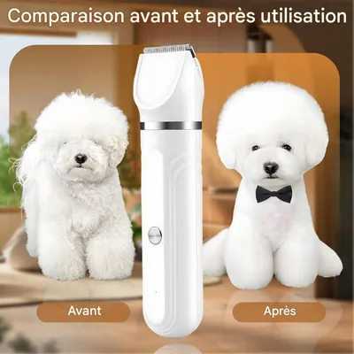 Pet Planet 4 En 1 Tondeuse Pour Chien Et Chat