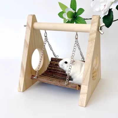 FurryFusion Balançoire en bois pour petits animaux