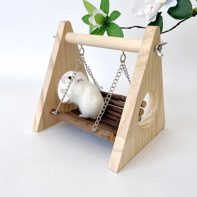 FurryFusion Balançoire en bois pour petits animaux