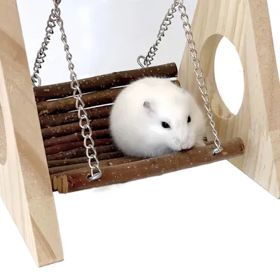 FurryFusion Balançoire en bois pour petits animaux