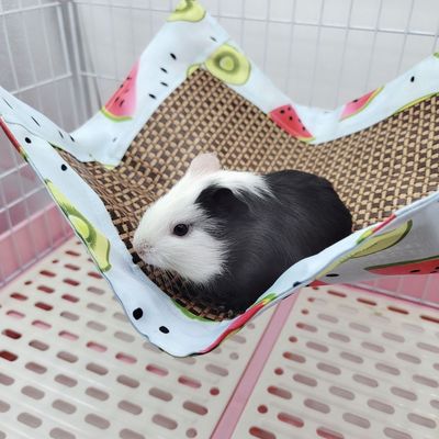 ZenPets - Hamac - Refroidissant petits animaux