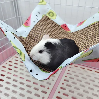 ZenPets Hamac de refroidissement pour petits animaux